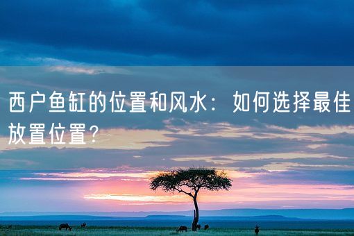 西户鱼缸的位置和风水：如何选择最佳放置位置？(图1)