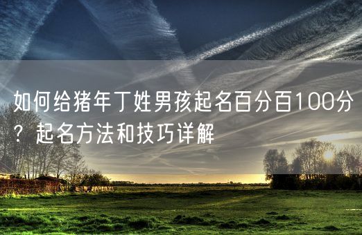 如何给猪年丁姓男孩起名百分百100分？起名方法和技巧详解(图1)