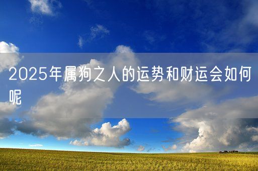 2025年属狗之人的运势和财运会如何呢(图1)