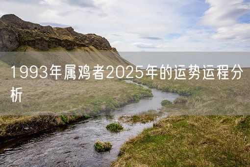 1993年属鸡者2025年的运势运程分析(图1)