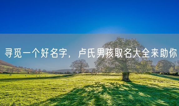 寻觅一个好名字，卢氏男孩取名大全来助你(图1)