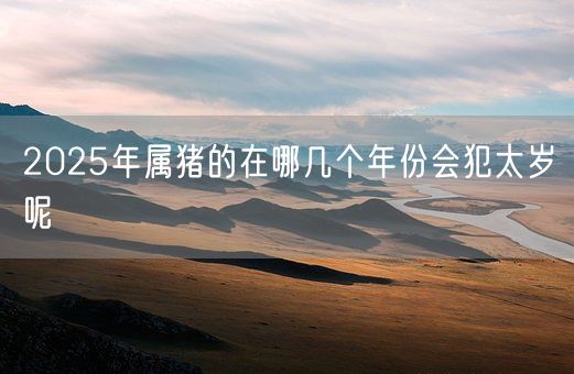 2025年属猪的在哪几个年份会犯太岁呢(图1)