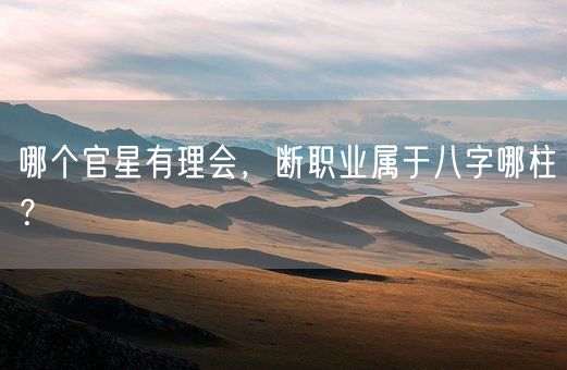 哪个官星有理会，断职业属于八字哪柱？(图1)