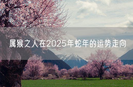 属猴之人在2025年蛇年的运势走向(图1)