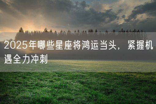 2025年哪些星座将鸿运当头，紧握机遇全力冲刺(图1)
