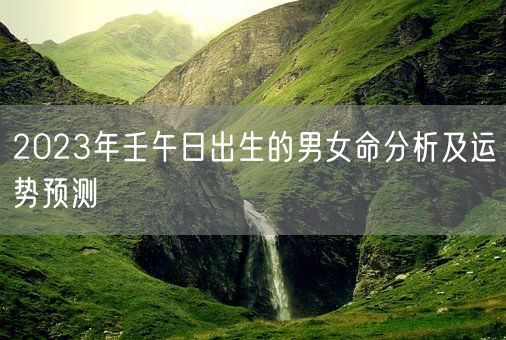 2023年壬午日出生的男女命分析及运势预测(图1)
