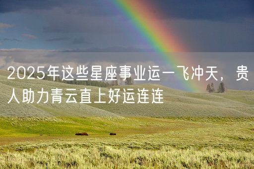 2025年这些星座事业运一飞冲天，贵人助力青云直上好运连连(图1)
