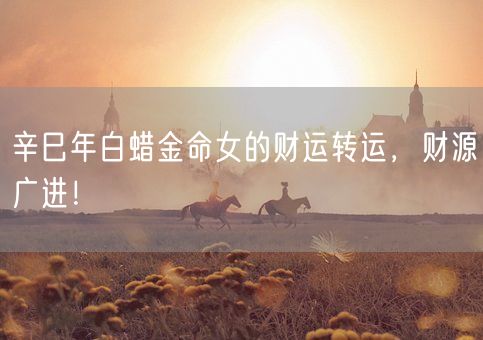 辛巳年白蜡金命女的财运转运，财源广进！(图1)