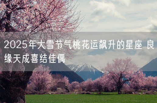 2025年大雪节气桃花运飙升的星座 良缘天成喜结佳偶(图1)