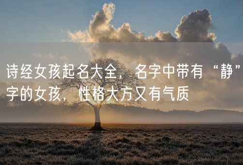 诗经女孩起名大全，名字中带有“静”字的女孩，性格大方又有气质(图1)