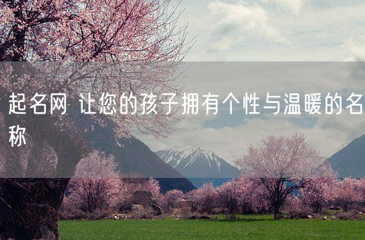 起名网 让您的孩子拥有个性与温暖的名称(图1)