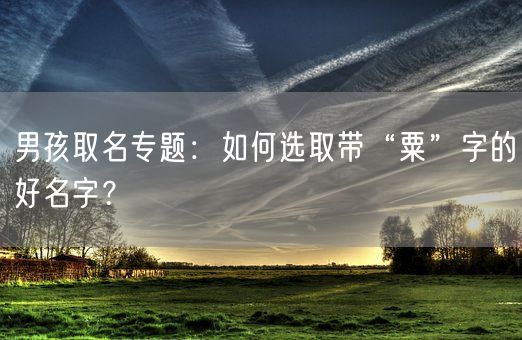男孩取名专题：如何选取带“粟”字的好名字？(图1)