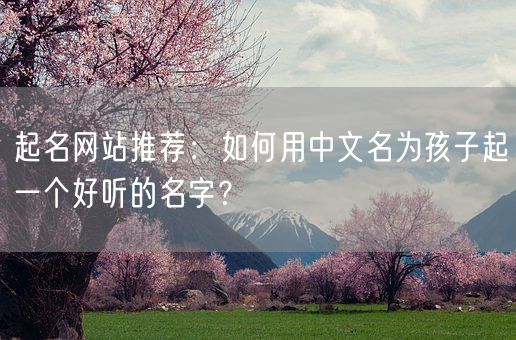 起名网站推荐：如何用中文名为孩子起一个好听的名字？(图1)