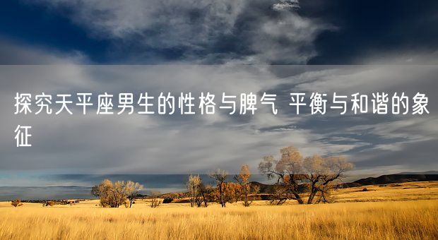 探究天平座男生的性格与脾气 平衡与和谐的象征(图1)