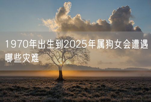 1970年出生到2025年属狗女会遭遇哪些灾难(图1) 1970年出生到2025年属狗女会遭遇哪些灾难(图1)