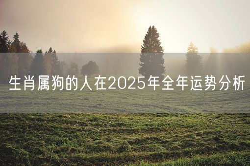 生肖属狗的人在2025年全年运势分析(图1) 生肖属狗的人在2025年全年运势分析(图1)