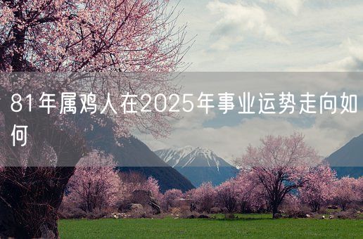 81年属鸡人在2025年事业运势走向如何(图1)