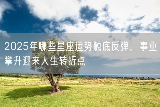 2025年哪些星座运势触底反弹，事业攀升迎来人生转折点(图1)