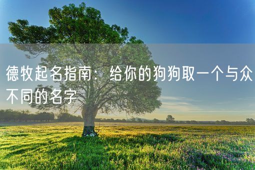 德牧起名指南：给你的狗狗取一个与众不同的名字(图1)