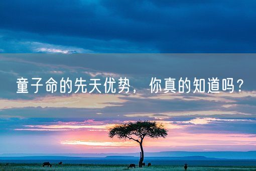童子命的先天优势，你真的知道吗？(图1)