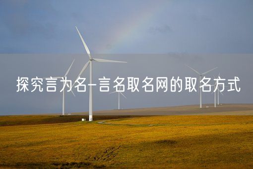 探究言为名-言名取名网的取名方式(图1)