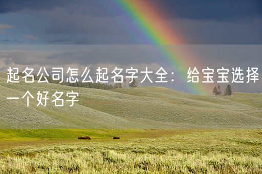 起名公司怎么起名字大全：给宝宝选择一个好名字(图1)