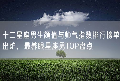 十二星座男生颜值与帅气指数排行榜单出炉，最养眼星座男TOP盘点(图1)