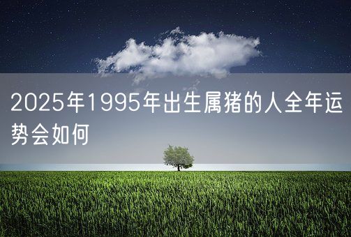 2025年1995年出生属猪的人全年运势会如何(图1)