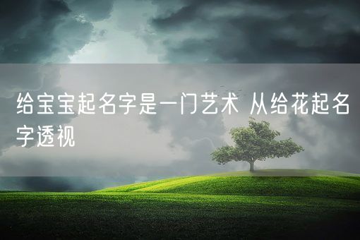 给宝宝起名字是一门艺术 从给花起名字透视(图1)