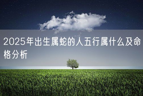 2025年出生属蛇的人五行属什么及命格分析(图1)