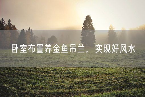 卧室布置养金鱼吊兰，实现好风水(图1)