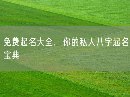 免费起名大全，你的私人八字起名宝典(图1)