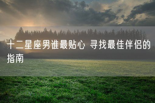 十二星座男谁最贴心 寻找最佳伴侣的指南(图1)