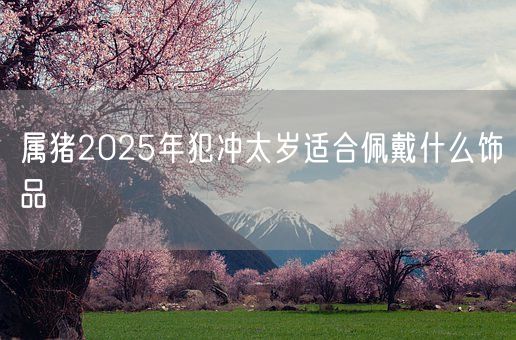 属猪2025年犯冲太岁适合佩戴什么饰品(图1)