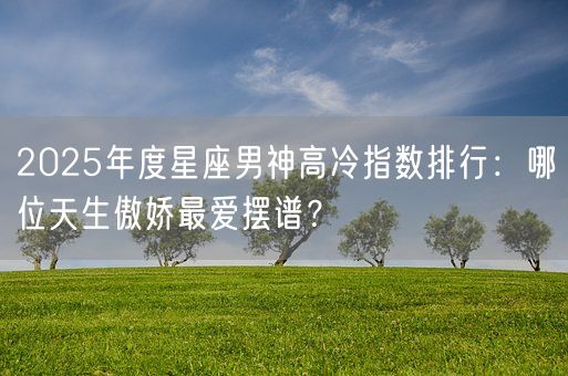 2025年度星座男神高冷指数排行：哪位天生傲娇最爱摆谱？(图1)
