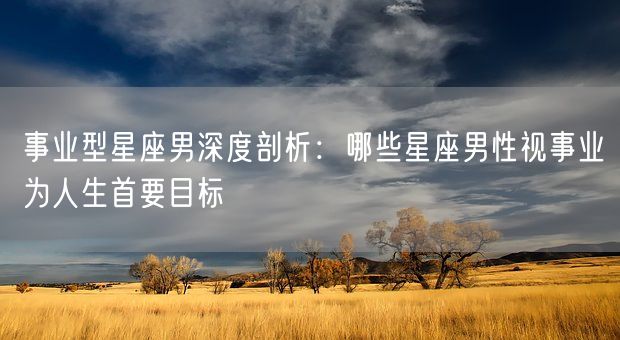 事业型星座男深度剖析：哪些星座男性视事业为人生首要目标(图1)