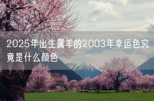 2025年出生属羊的2003年幸运色究竟是什么颜色(图1)
