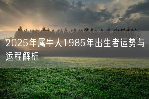 2025年属牛人1985年出生者运势与运程解析(图1)
