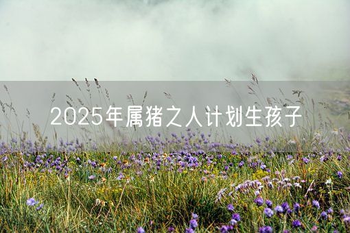 2025年属猪之人计划生孩子(图1)