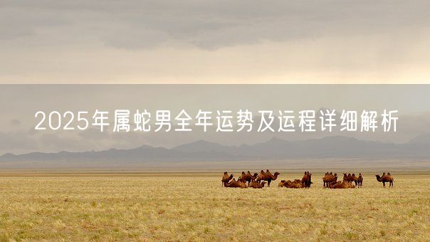 2025年属蛇男全年运势及运程详细解析(图1) 2025年属蛇男全年运势及运程详细解析(图1)