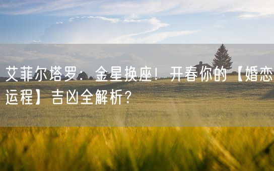 艾菲尔塔罗：金星换座！开春你的【婚恋运程】吉凶全解析？(图1)