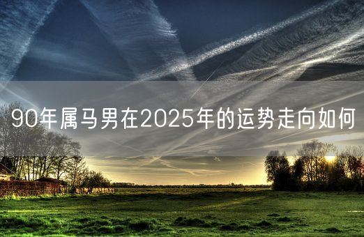 90年属马男在2025年的运势走向如何(图1) 90年属马男在2025年的运势走向如何(图1)