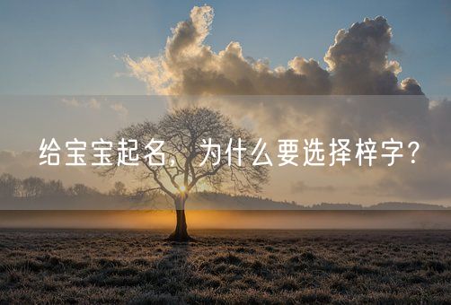 给宝宝起名,为什么要选择梓字?(图1) 给宝宝起名,为什么要选择梓字?(图1)