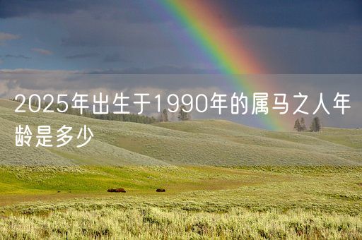 2025年出生于1990年的属马之人年龄是多少(图1)