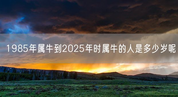 1985年属牛到2025年时属牛的人是多少岁呢(图1)