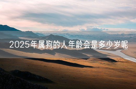 2025年属狗的人年龄会是多少岁呢(图1)