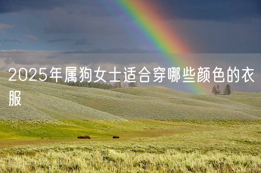 2025年属狗女士适合穿哪些颜色的衣服(图1) 2025年属狗女士适合穿哪些颜色的衣服(图1)