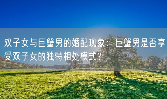 双子女与巨蟹男的婚配现象：巨蟹男是否享受双子女的独特相处模式？(图1)