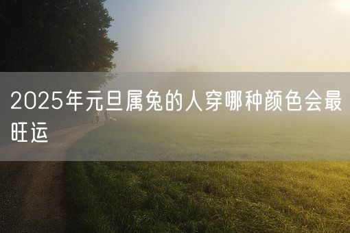 2025年元旦属兔的人穿哪种颜色会最旺运(图1)