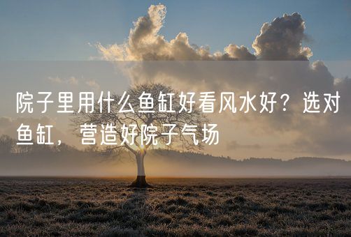 院子里用什么鱼缸好看风水好？选对鱼缸，营造好院子气场(图1)